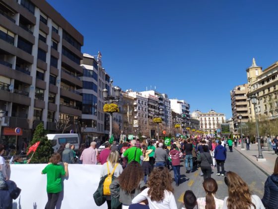 manifestacion defensa de la enseñanza pública - foto Javi Gea