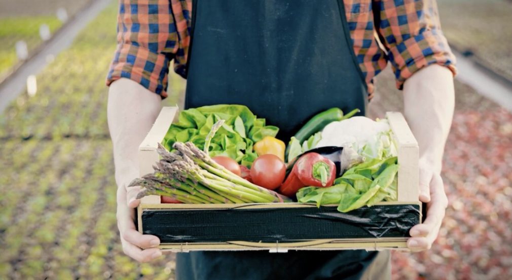 Frutas y verduras de Granada -Diputacion