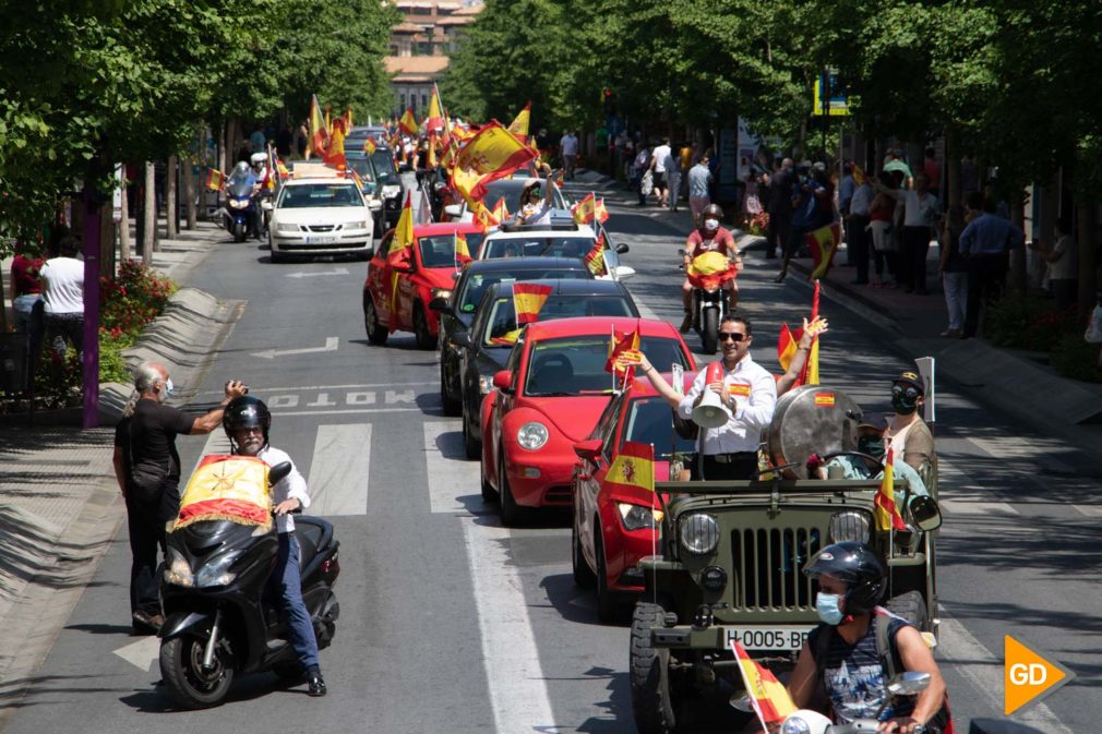 MANIFESTACION VOX GRANADA COVID19 - Dani B-13