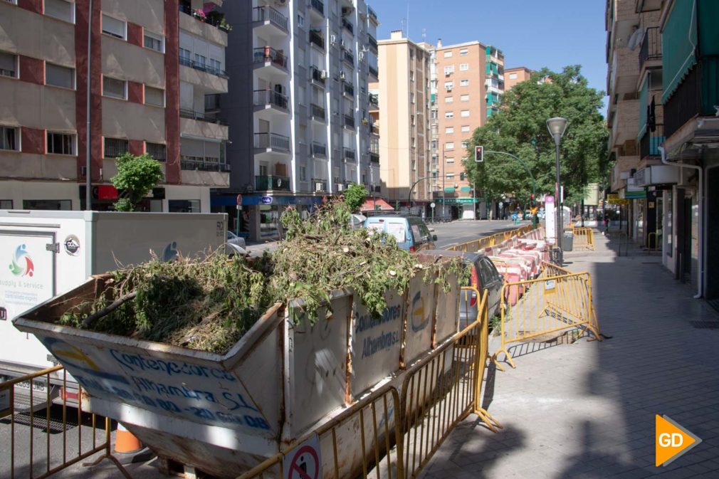 TALADO ARBOLES OBRAS CALLE PALENCIA ARABIAL - Dani B-2