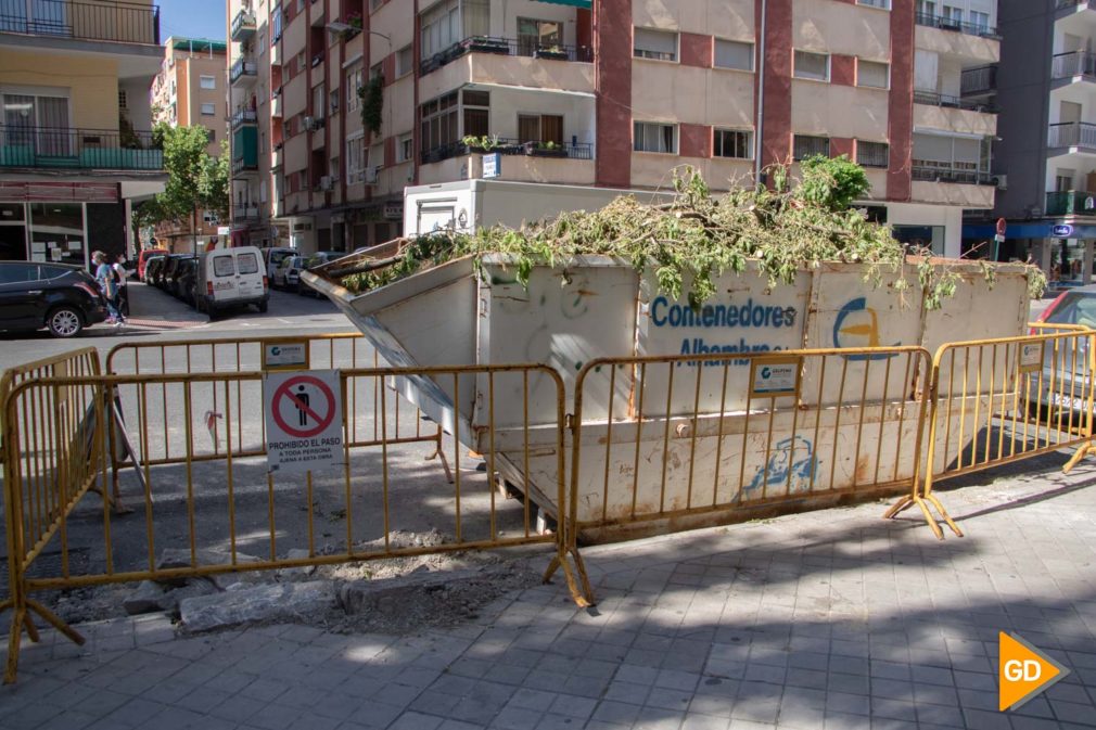 TALADO ARBOLES OBRAS CALLE PALENCIA ARABIAL - Dani B-3