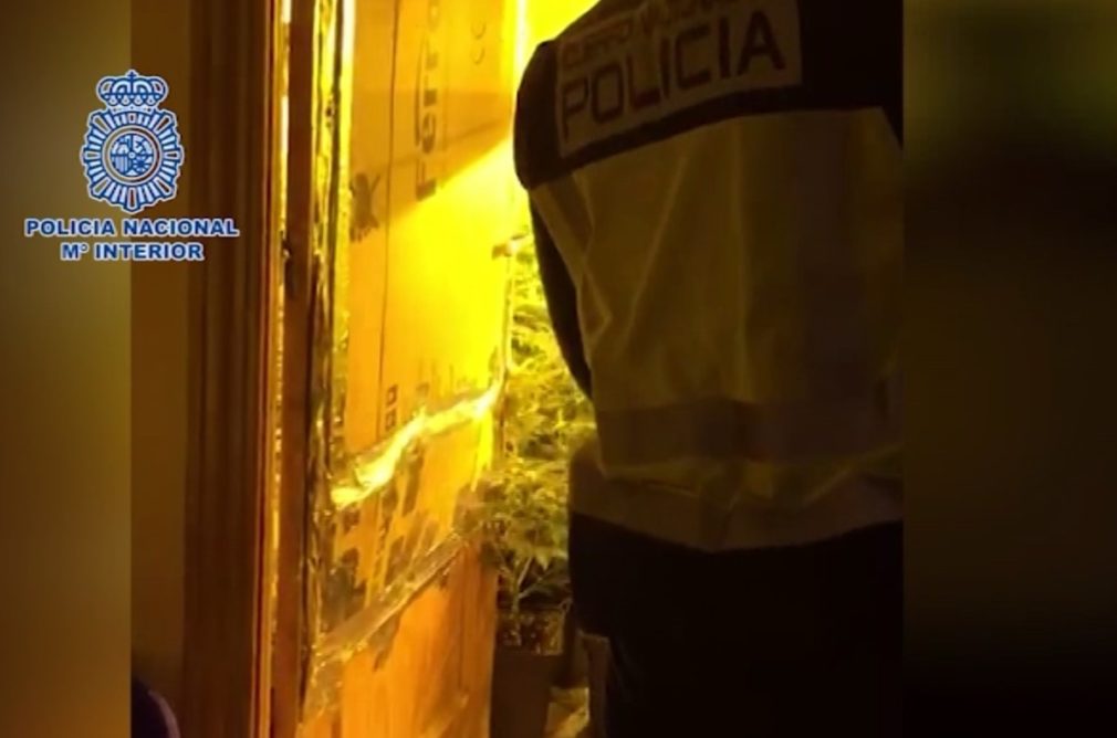 policía nacional droga