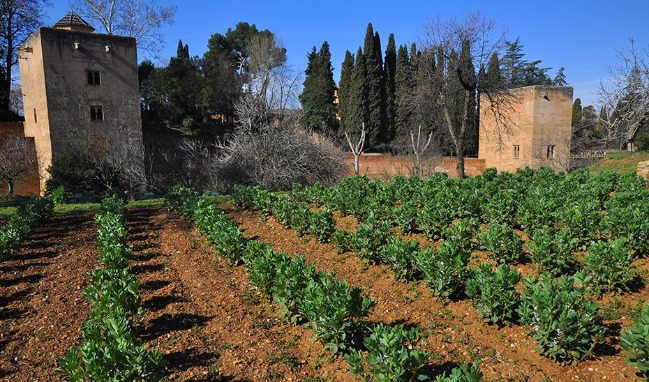 huerta generalife Foto Patronato