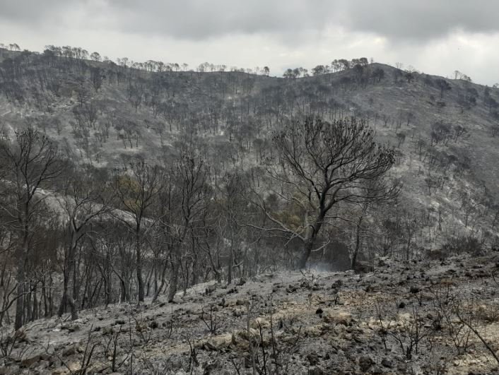 Controlado el incendio forestal de Vélez de Benaudalla - Infoca - Archivo