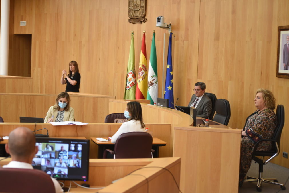 pleno diputacion granada 170620