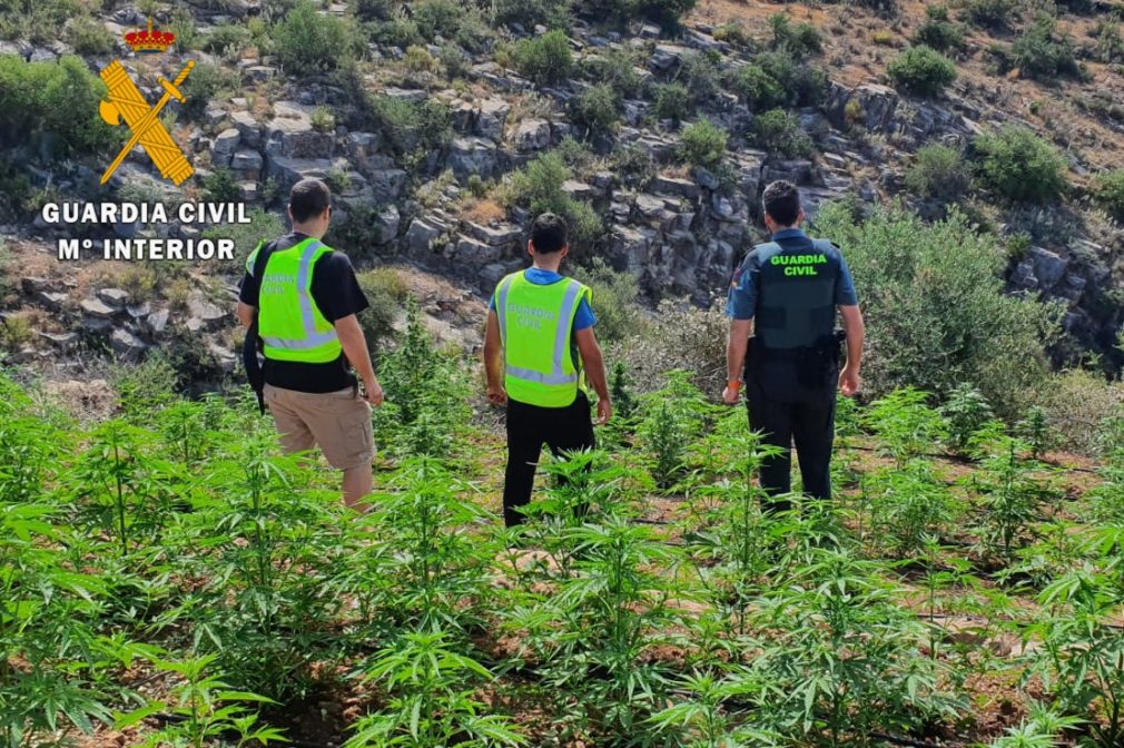 marihuana guardia civil