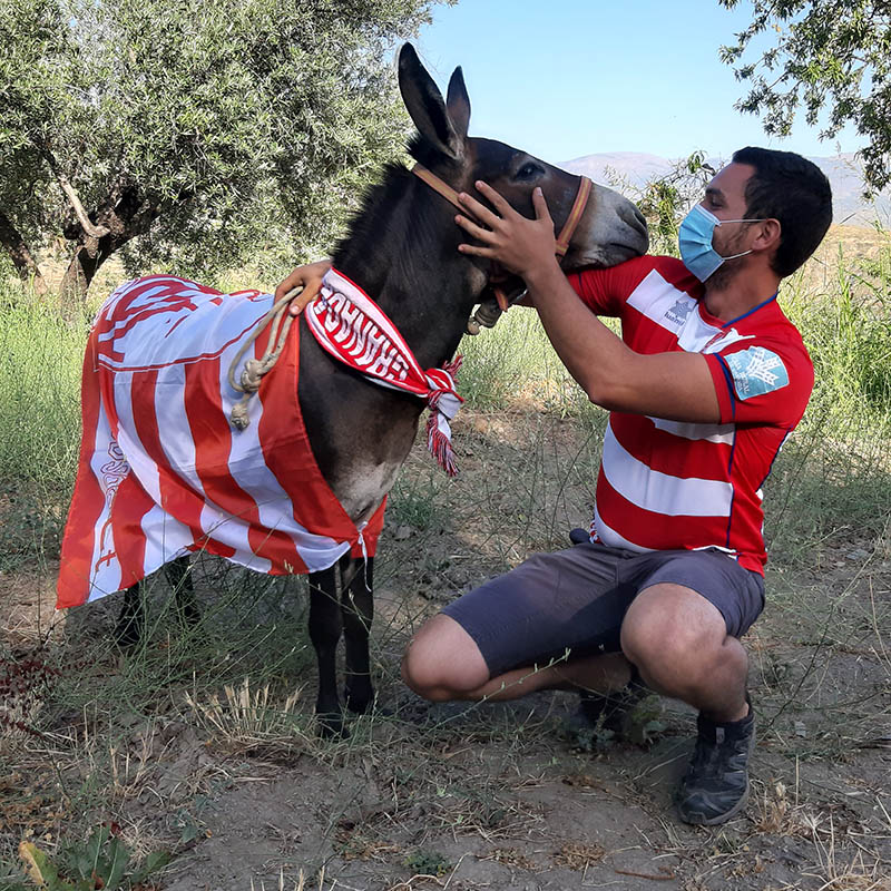 Romerito el burrito del Granada CF