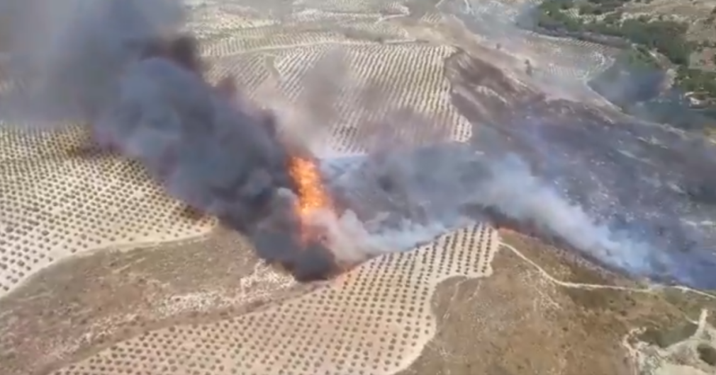 Incendio forestal en Arenas del Rey