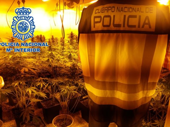 marihuana policia nacional Zona Norte