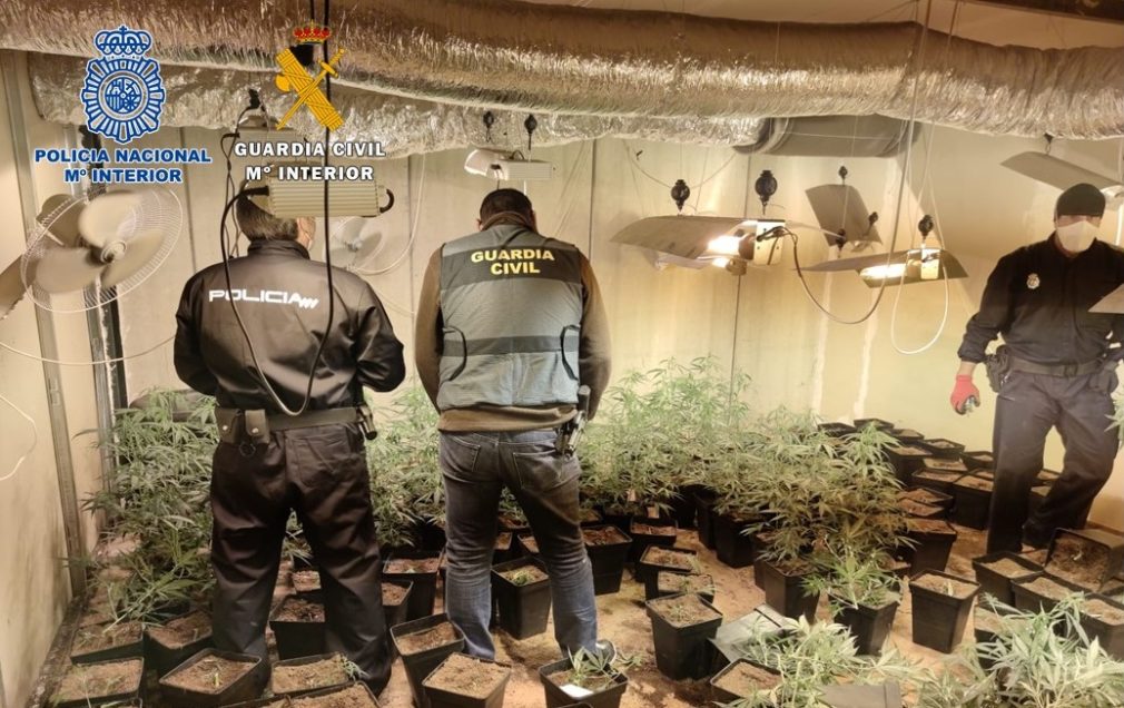 Fotografía agentes incautando plantaciones marihuana en Bobadilla operación conjunta Guardia Civil y Policía Nacional