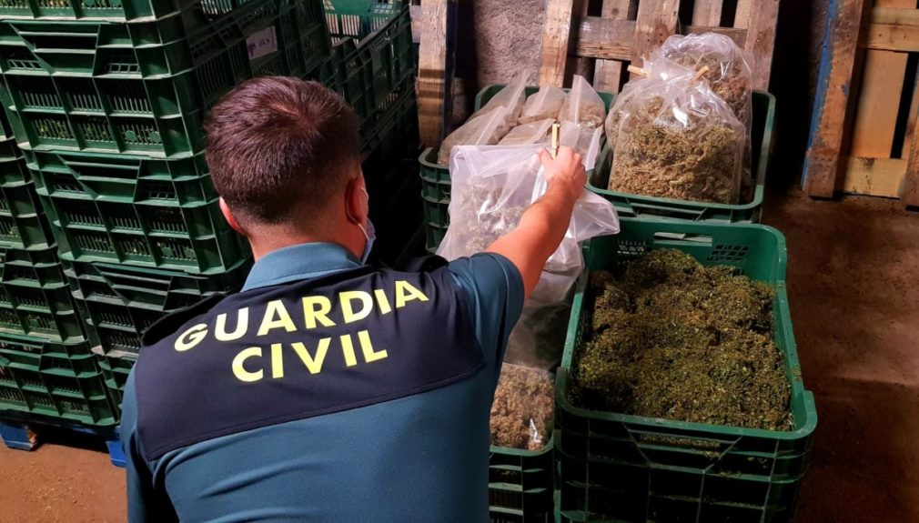 Marihuana Guardia Civil