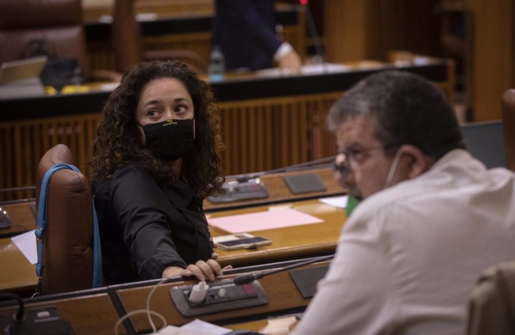 Sesión de control al gobierno del Pleno del Parlamento andaluz