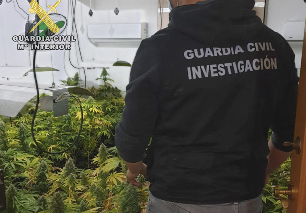 Guardia Civil Marihuana