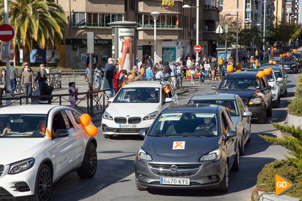 MANIFESTACION CONTRA LEY CELAA - Dani B-13