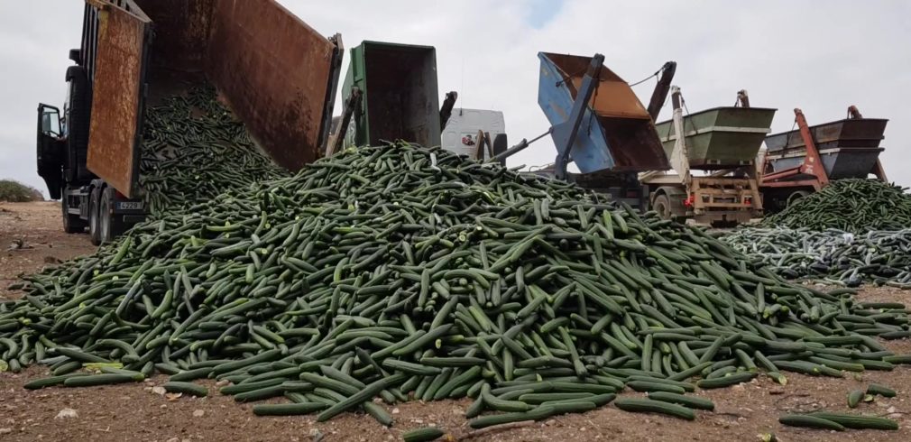 Retirada de pepino la semana pasada