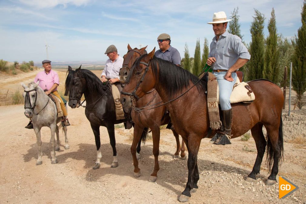 TURISMO ANDALUZ RUTAS A CABALLO - Dani B-2