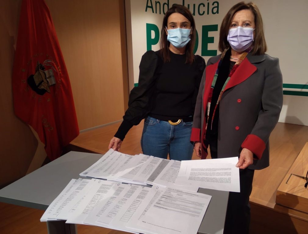 Granada.- Coronavirus.- El PSOE registra 5.200 firmas en la Junta para exigir el refuerzo "real" de la Atención Primaria