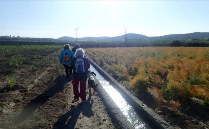 senderismo solidario huetor tajar