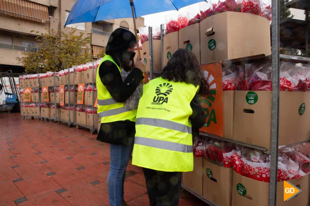 Entrega de pascueros Carlos Gijon _-3