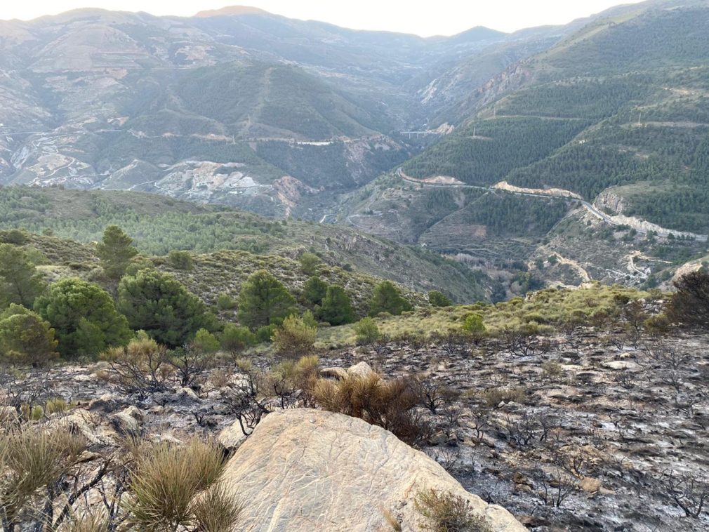 Imagen del paraje del incendio de Almegíjar