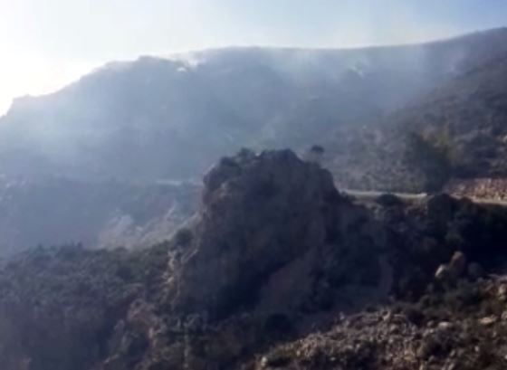 incendio forestal gualchos