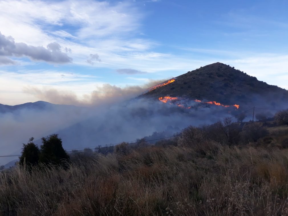 Incendio forestal en Juviles - INFOCA