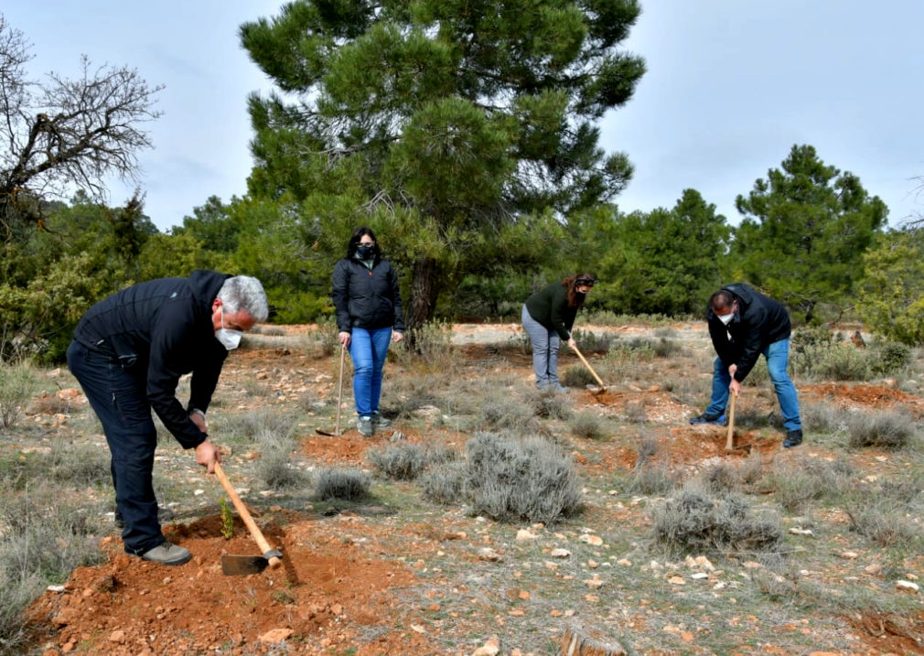 210227_Plantación Granada 2