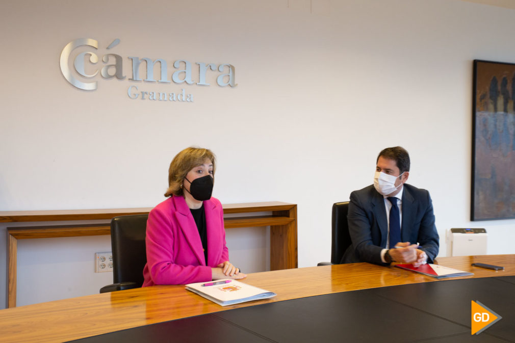 Delegada de Gobierno visita la Camara de comercio Carlos Gijon-4