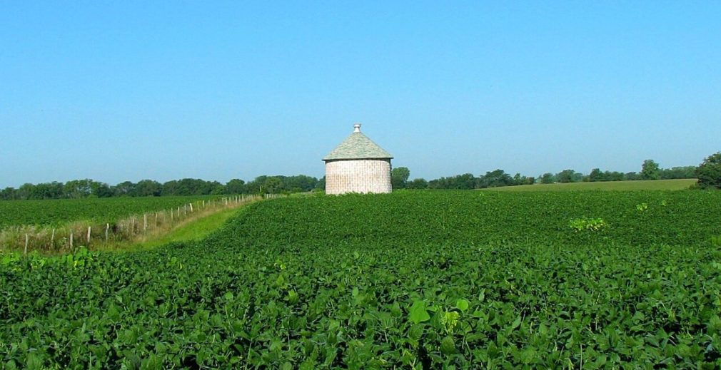 silo a subasta