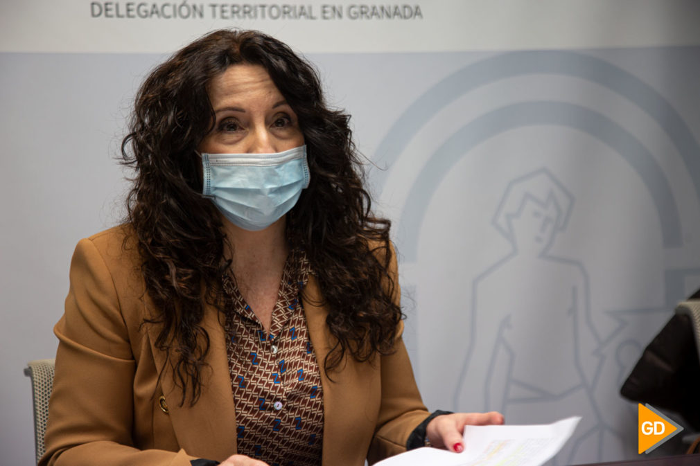 FOTOS la consejera de Igualdad, Rocío Ruiz, presenta el estudio 'Una mirada hacia la migración en Andalucía' publicado por la Organización Internacional para las Migraciones (OIM) (5)