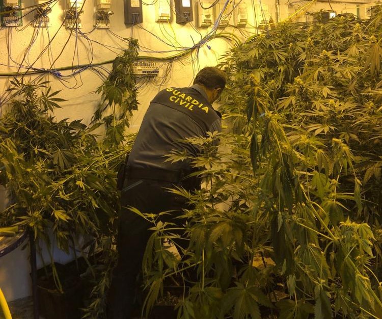 droga marihuana guardia civil