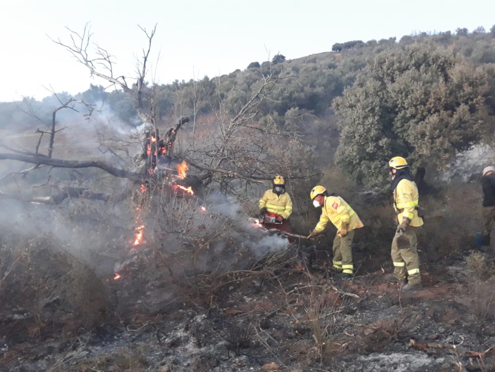 Incendio Lanjarón Infoca