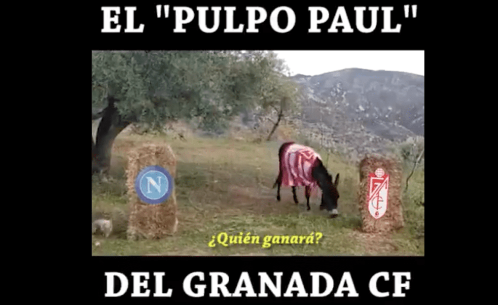 Romerito el burro del Granada CF