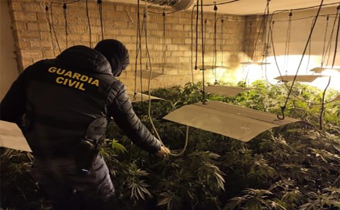 marihuana incautada Guardia civil