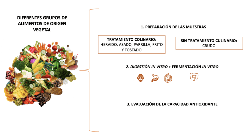 Investigación ibs.granada