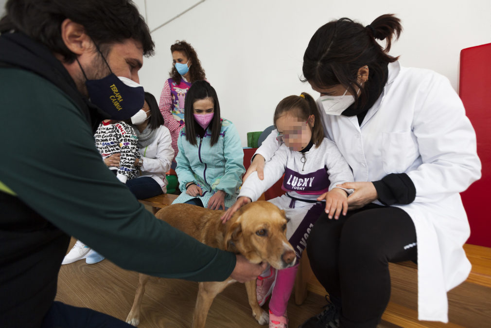 perros fundación caja rural