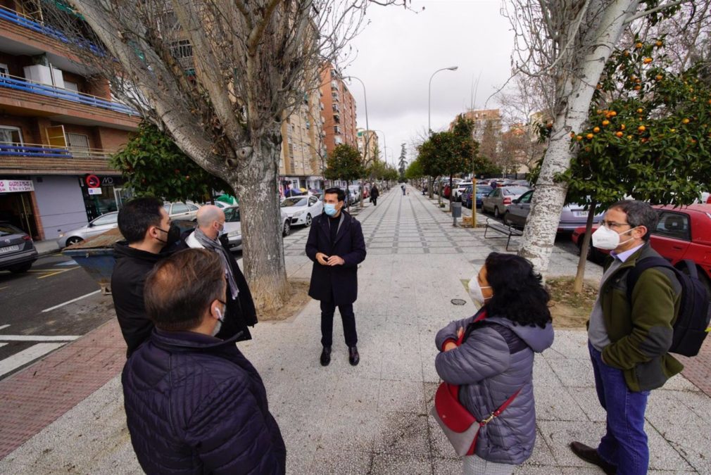 Granada.- El PSOE pide paralizar la tala de más de cien árboles del bulevar de la calle Primavera