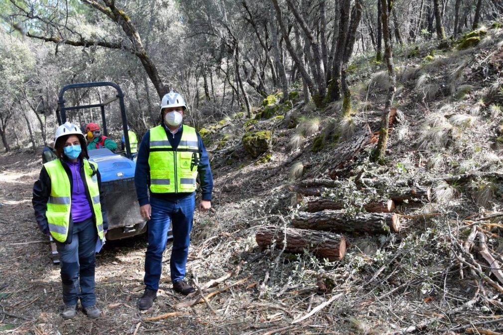 Granada.- La Junta ejecuta tratamientos en masas forestales del Parque Natural Sierra de Huétor