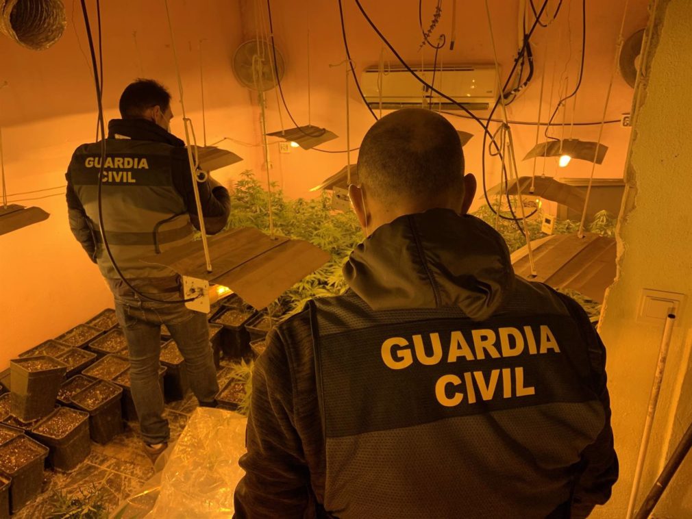 Granada.- Sucesos.- La Guardia Civil se incauta de más de 22.300 plantas de marihuana en los tres primeros meses del año