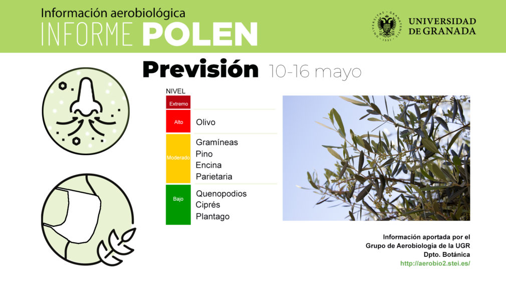 niveles de polen en la atmósfera de la ciudad de Granada