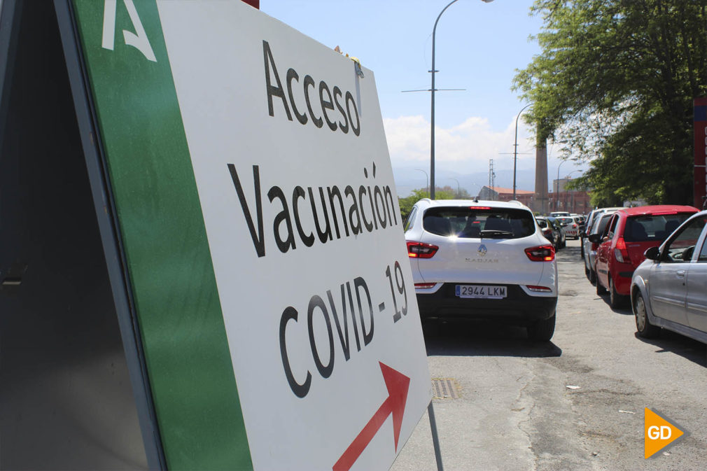 David Avilés Canca - Cola coches vacunacion Fermasa