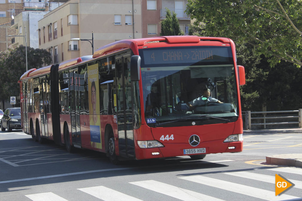 TRANSPORTE PÚBLICO AUTOBÚS David Canca 28