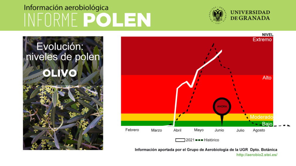 evolucion niveles polen olivo ugr