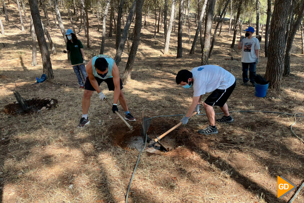 FOTOS Proyecto de reforestación participativa y dinamización cultural en el Sacromonte (3)