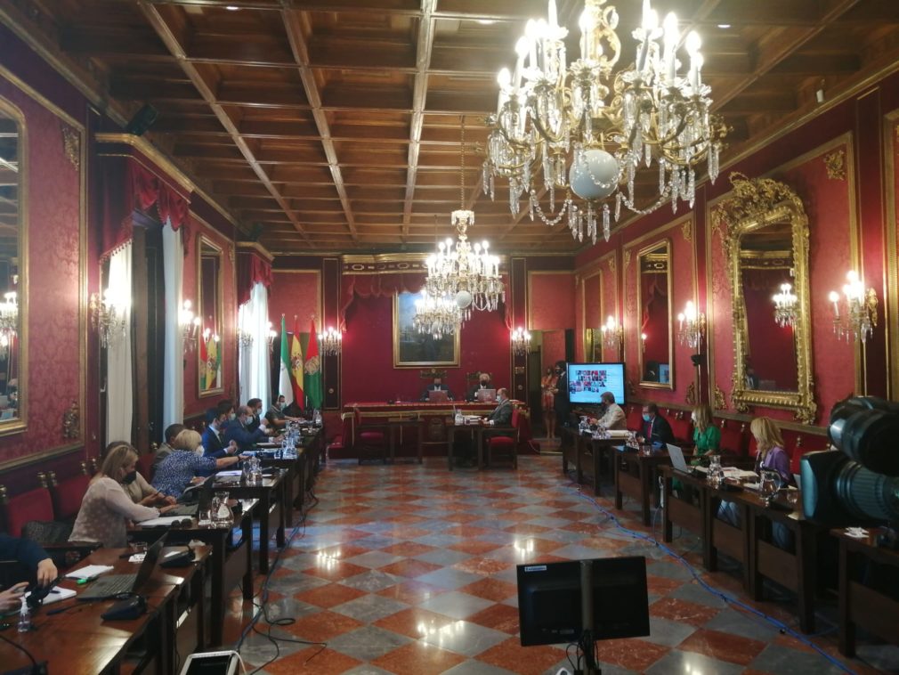 Pleno Ordinario 25 de junio de 2021