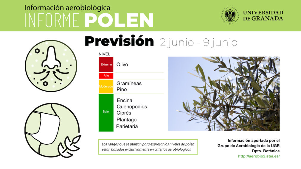 informe polen