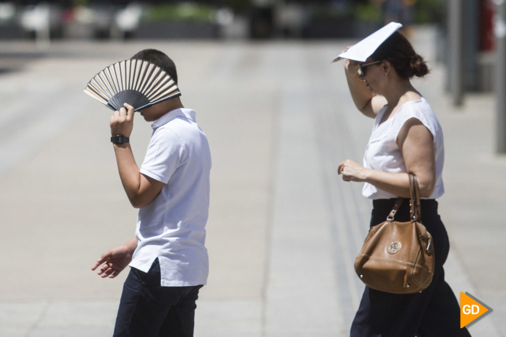 Ciudadania y animales con calor