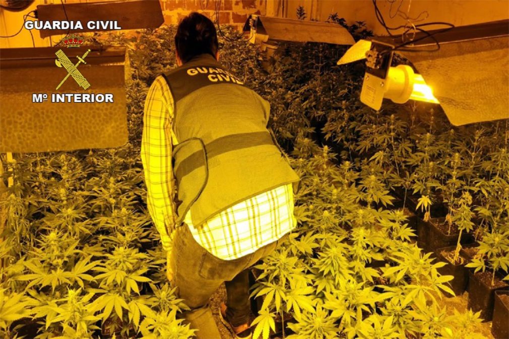 Granada.- Sucesos.- Detenidos tres miembros de una familia tras desmantelar una plantación de marihuana en La Malahá