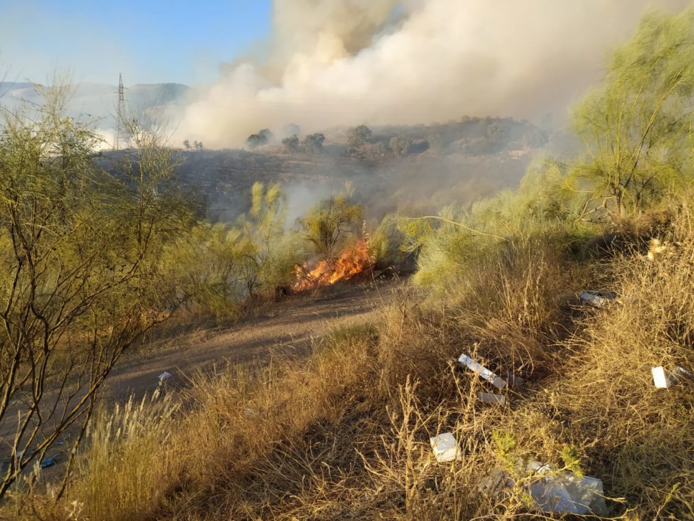 Incendio forestal Jun