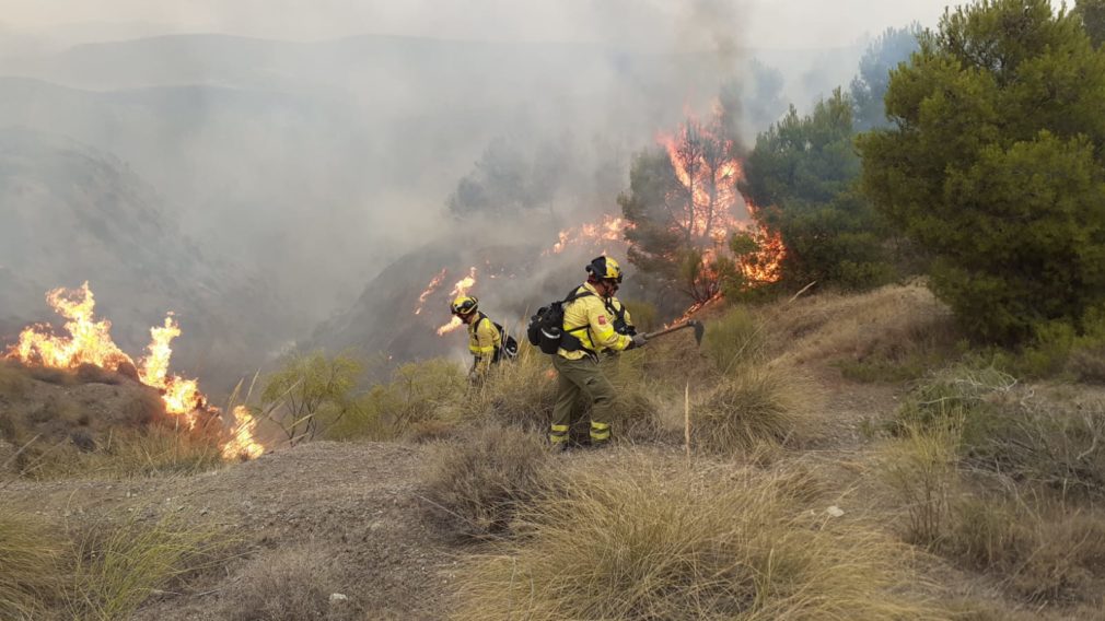 Incendio Forestal Caniles